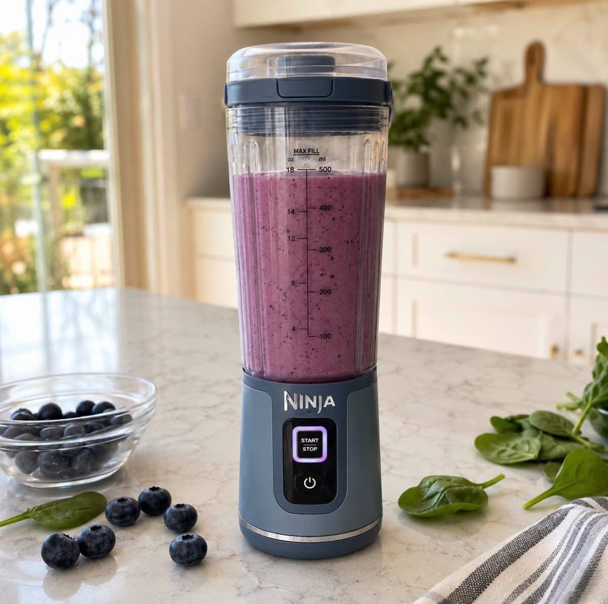 Ninja blender portable